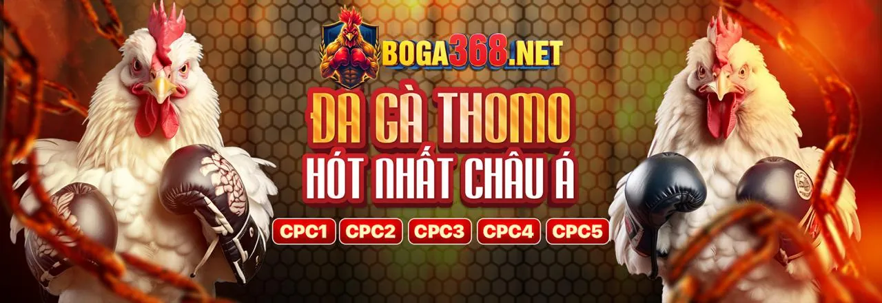 Trang chủ chính thức tt3979 Ưu đãi & Khuyến mãi mới nhất